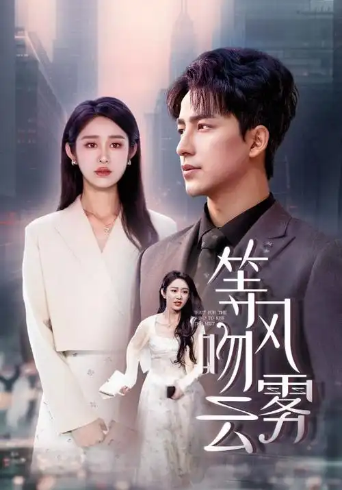 雪落无声 悬疑推理剧在线观看